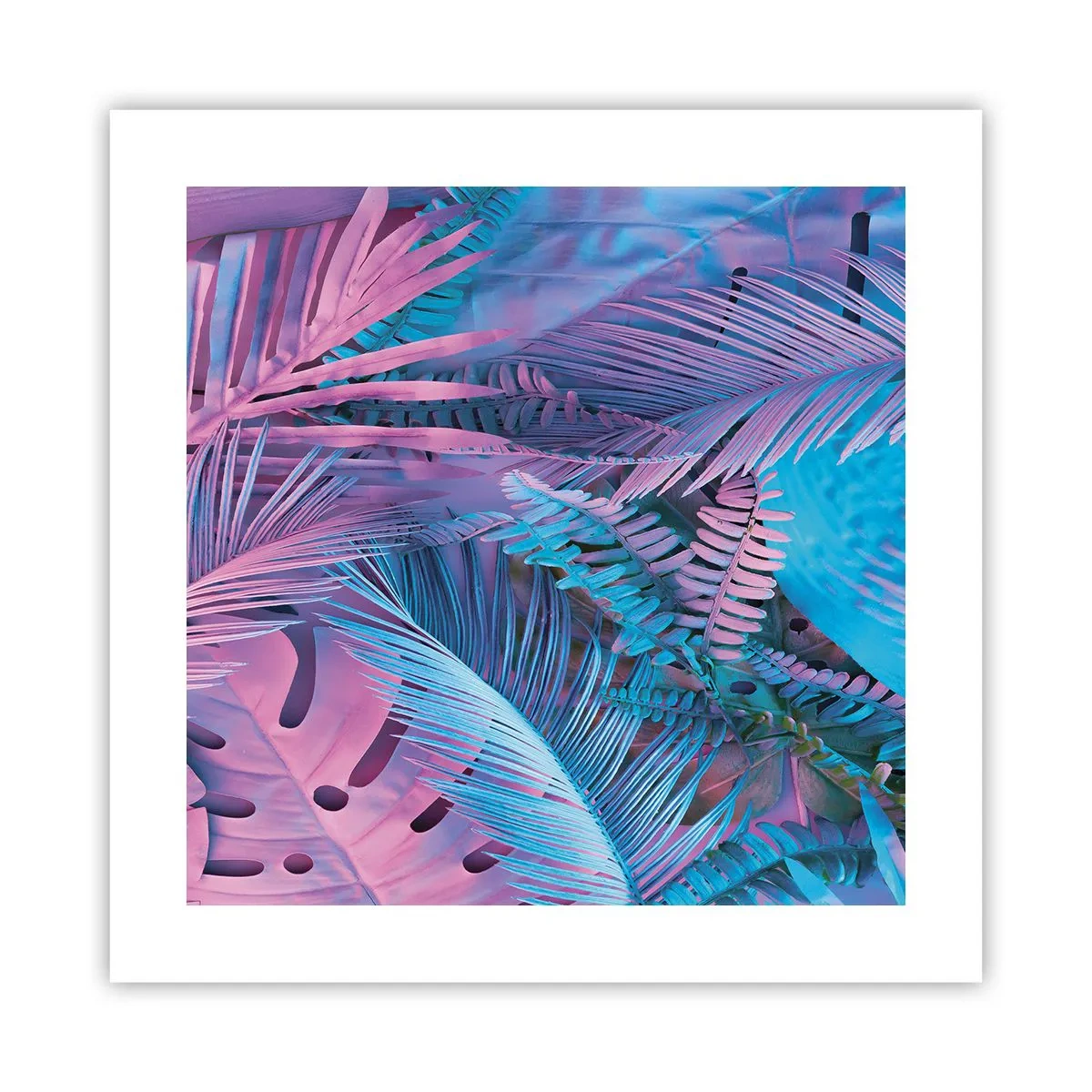 Poster - Tropen in Rosa und Blau - 40x40 cm
