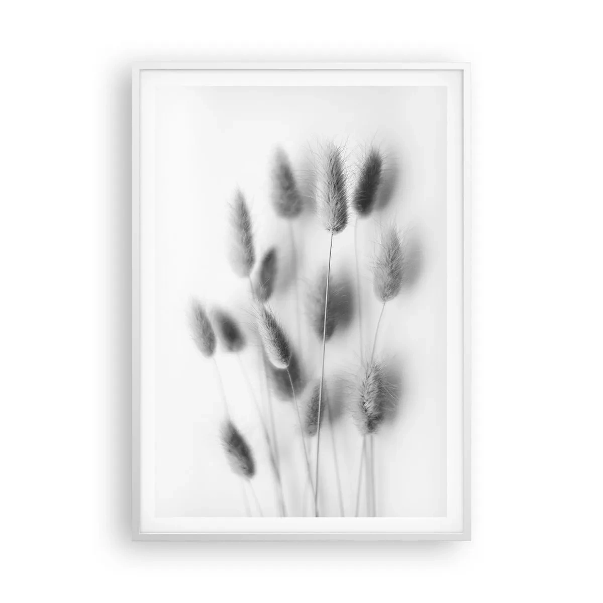 Poster in einem weißen Rahmen - Eure flauschige Grashoheit - 70x100 cm