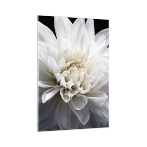 Glasbild - Bild auf glas - Eine zarte weiße Blume auf schwarzem Hintergrund in einer eleganten Komposition - 70x100cm - Der Morgen der Braut - Moderne Wanddekoration für Wohnzimmer und Schlafzimmer ARTTOR