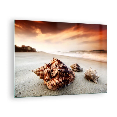 Glasbild - Bild auf glas - Muscheln am Strand bei Sonnenuntergang - 70x50cm - Ausgestoßene von Wellen - Moderne Wanddekoration für Wohnzimmer und Schlafzimmer ARTTOR
