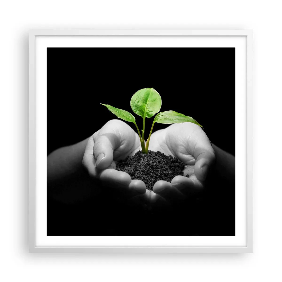 Poster in einem weißen Rahmen - Ich liebe die Natur, ich beschütze sie - 60x60 cm