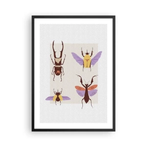Poster in einem schwarzem Rahmen - Bunte Käfer auf hellem Hintergrund - 50x70cm - Insektenwelt - Moderne Wanddekoration für Wohnzimmer und Schlafzimmer ARTTOR