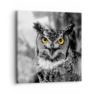 Bild auf Leinwand - Leinwandbild - Nichts wird sich verstecken - 40x40 cm