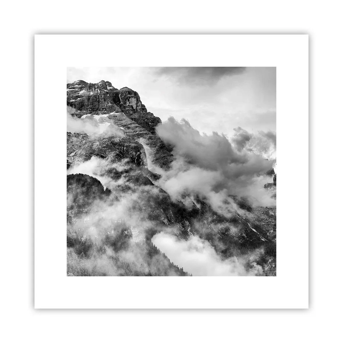 Poster - Schön und grausam - 30x30 cm