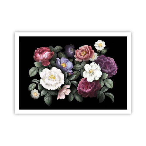 Poster - Blumen in verschiedenen Farben auf schwarzem Hintergrund - 100x70cm - Aus dem Englischen Garten - Moderne Wanddekoration für Wohnzimmer und Schlafzimmer ARTTOR