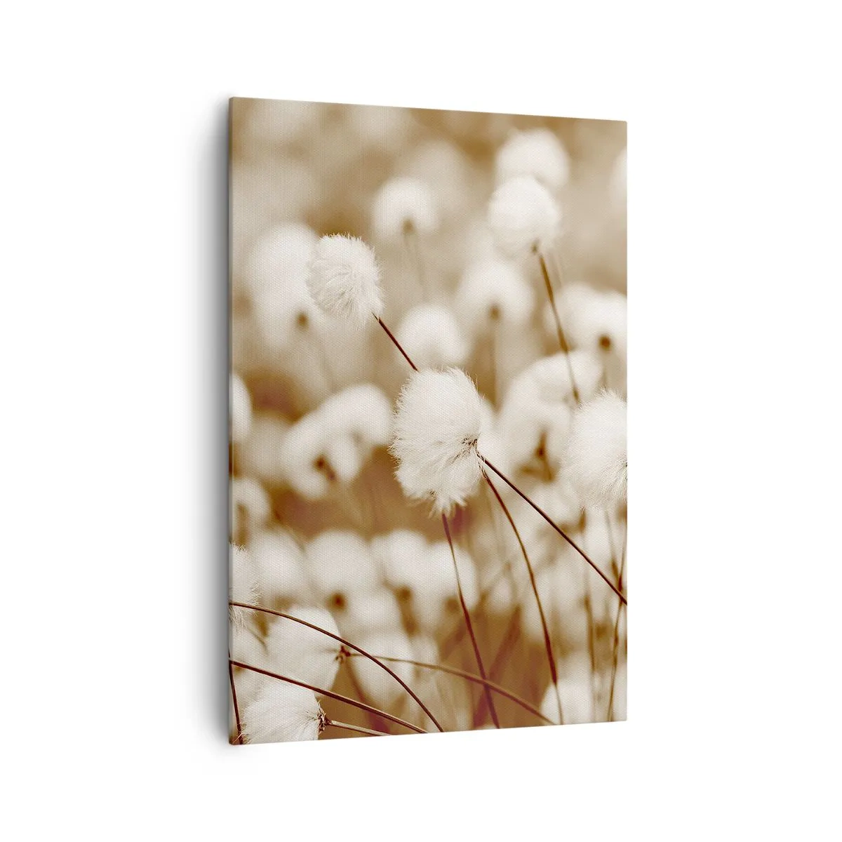 Bild auf Leinwand - Leinwandbild - Ein Feld mit zarten Pflanzen in Sepiatönen - 70x100cm - Flauschiges Kornfeld - Moderne Wanddekoration für Wohnzimmer und Schlafzimmer ARTTOR