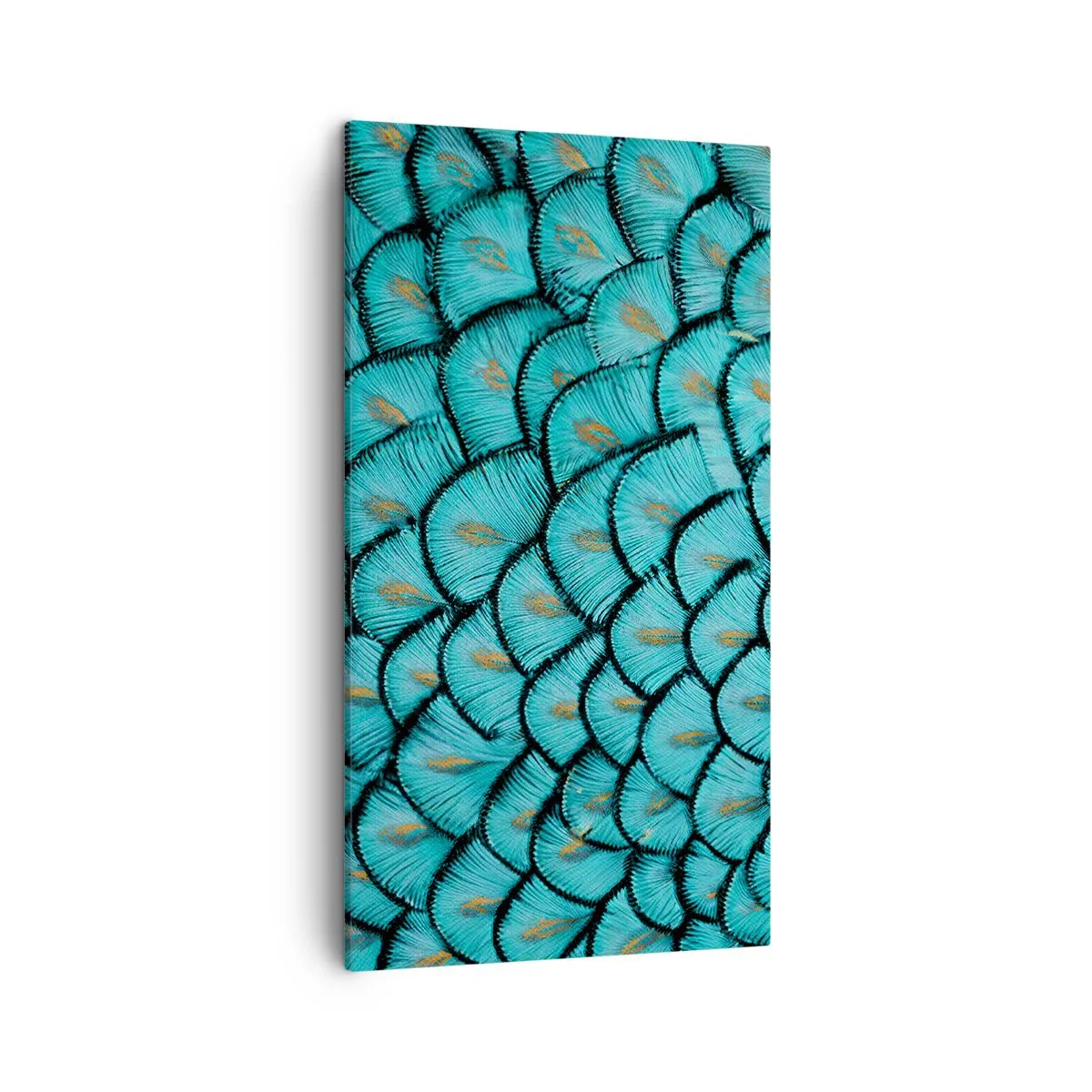 Bild auf Leinwand - Leinwandbild - Große Federgala - 45x80 cm