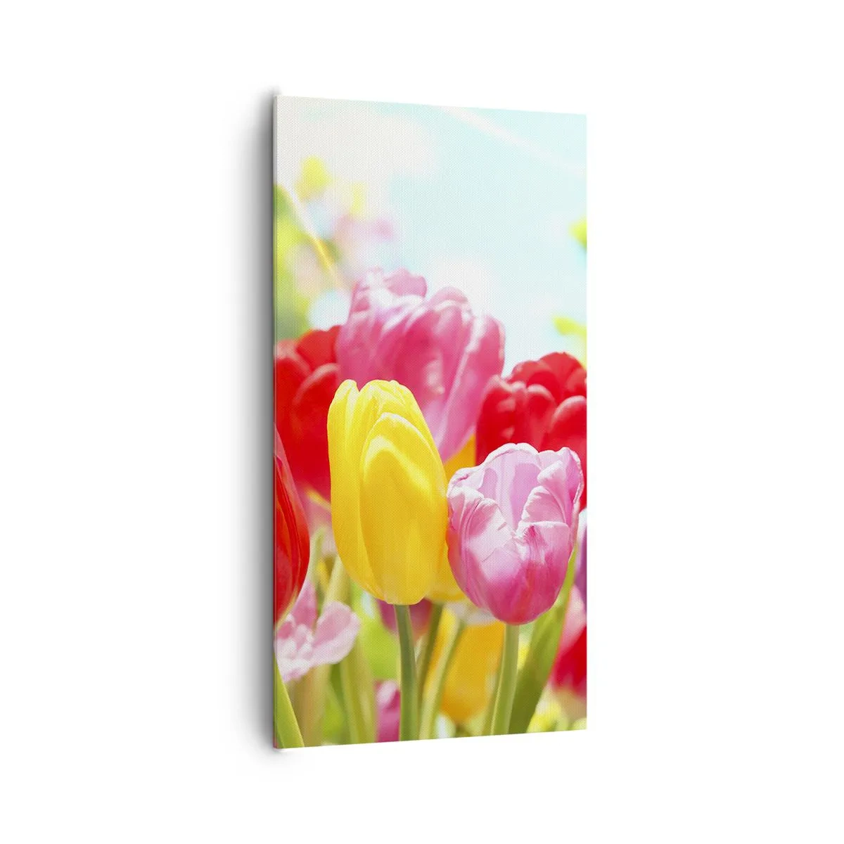 Bild auf Leinwand - Leinwandbild - Wir sind es, die Farben des Mais! - 65x120 cm