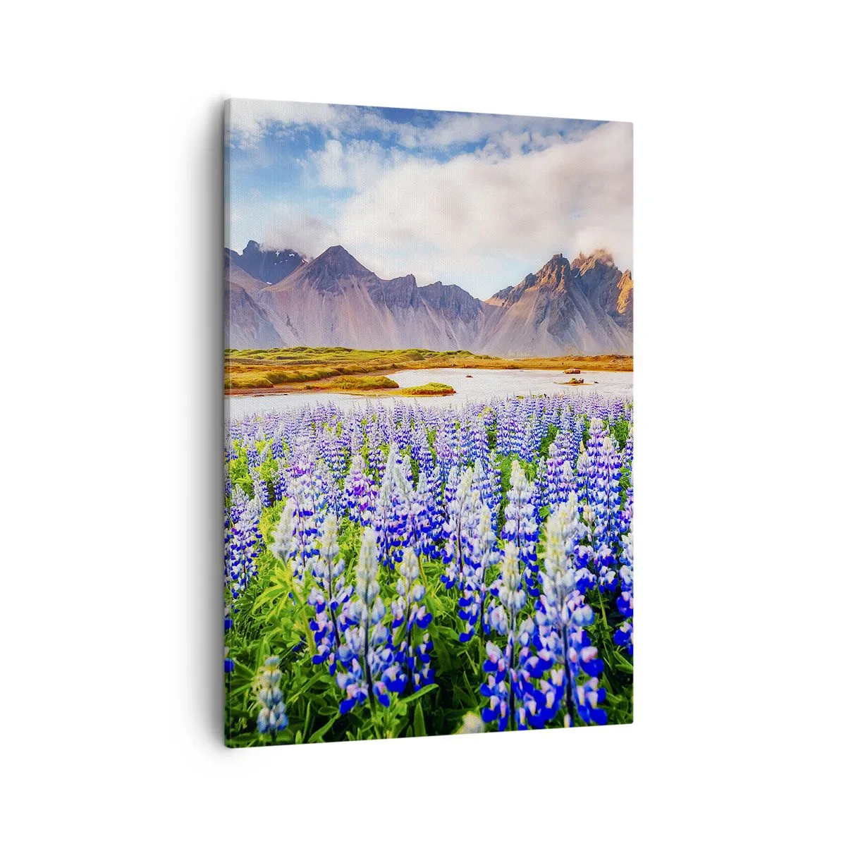Bild auf Leinwand - Leinwandbild - Blumen in einer Berglandschaft mit malerischem Himmel - 50x70cm - Kraft und Strenge neben Sanftmut - Moderne Wanddekoration für Wohnzimmer und Schlafzimmer ARTTOR