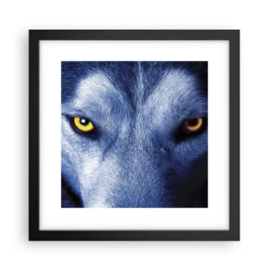Poster in einem schwarzem Rahmen - Faszinierender Blick - 30x30 cm