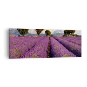 Bild auf Leinwand - Leinwandbild - Ein Lavendelfeld mit Bäumen vor der Kulisse von Bergen und Himmel - 140x50cm - Lavendelfelder - Moderne Wanddekoration für Wohnzimmer und Schlafzimmer ARTTOR