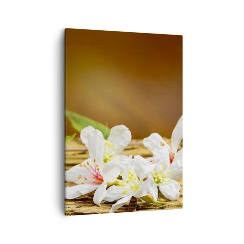 Bild auf Leinwand - Leinwandbild - Weiße Blumen auf einem hölzernen Hintergrund in natürlichem Licht - 50x70cm - Ein unschuldiges Versprechen - Moderne Wanddekoration für Wohnzimmer und Schlafzimmer ARTTOR