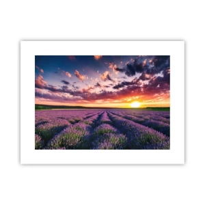 Poster - Lavendel Welt - 40x30 cm