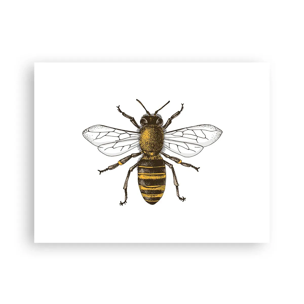 Poster - Schön und gut - 40x30 cm