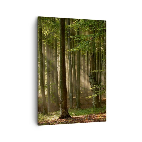 Bild auf Leinwand - Leinwandbild - Sonnenstrahlen dringen durch die Bäume im Wald - 50x70cm - Strahlend an einem Frühlingsmorgen - Moderne Wanddekoration für Wohnzimmer und Schlafzimmer ARTTOR