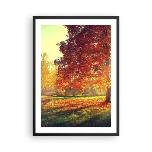 Poster in einem schwarzem Rahmen - Herbstpark mit einem Baum mit goldenen Blättern in der Sonne - 50x70cm - Unhöflich ist schön - Moderne Wanddekoration für Wohnzimmer und Schlafzimmer ARTTOR