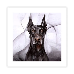 Poster - Edelgeboren - 40x40 cm