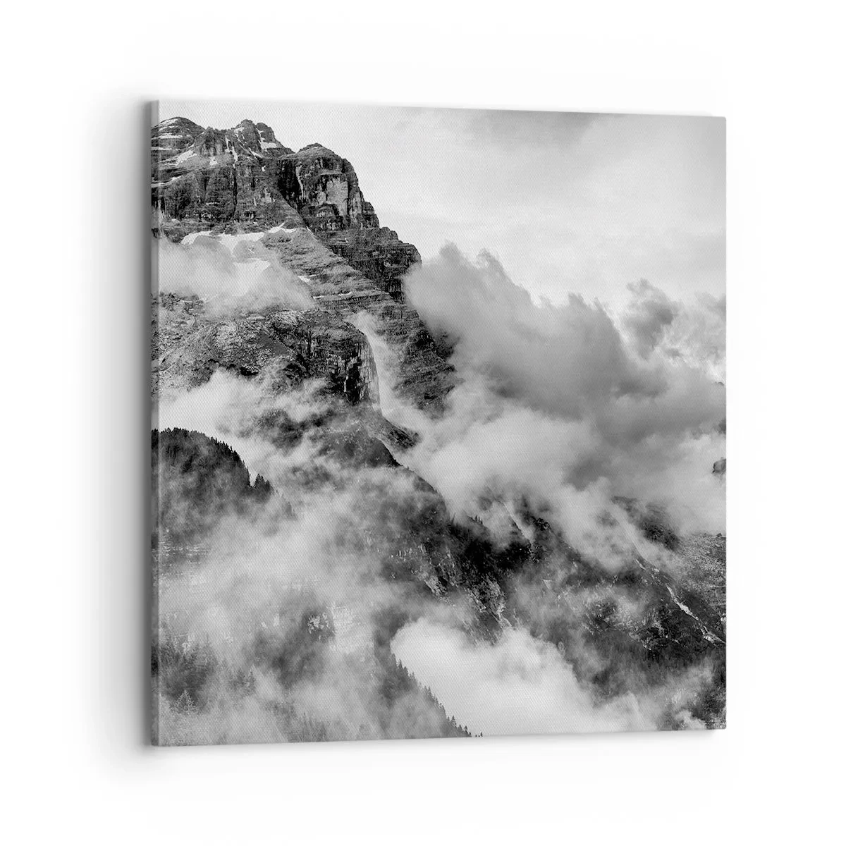 Bild auf Leinwand - Leinwandbild - Schön und grausam - 70x70 cm