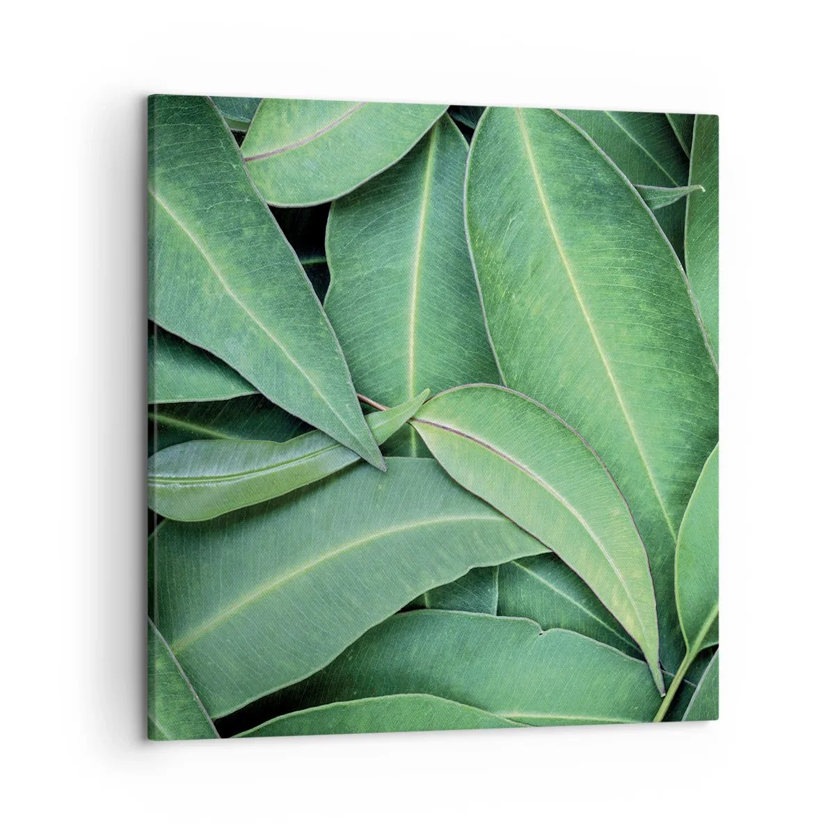 Bild auf Leinwand - Leinwandbild - Saftig und frisch - 50x50 cm