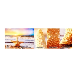 Fototapetenmuster Standard Eco - Meer Geschenk - Seestern, Strand, Ozean - 100x30 cm