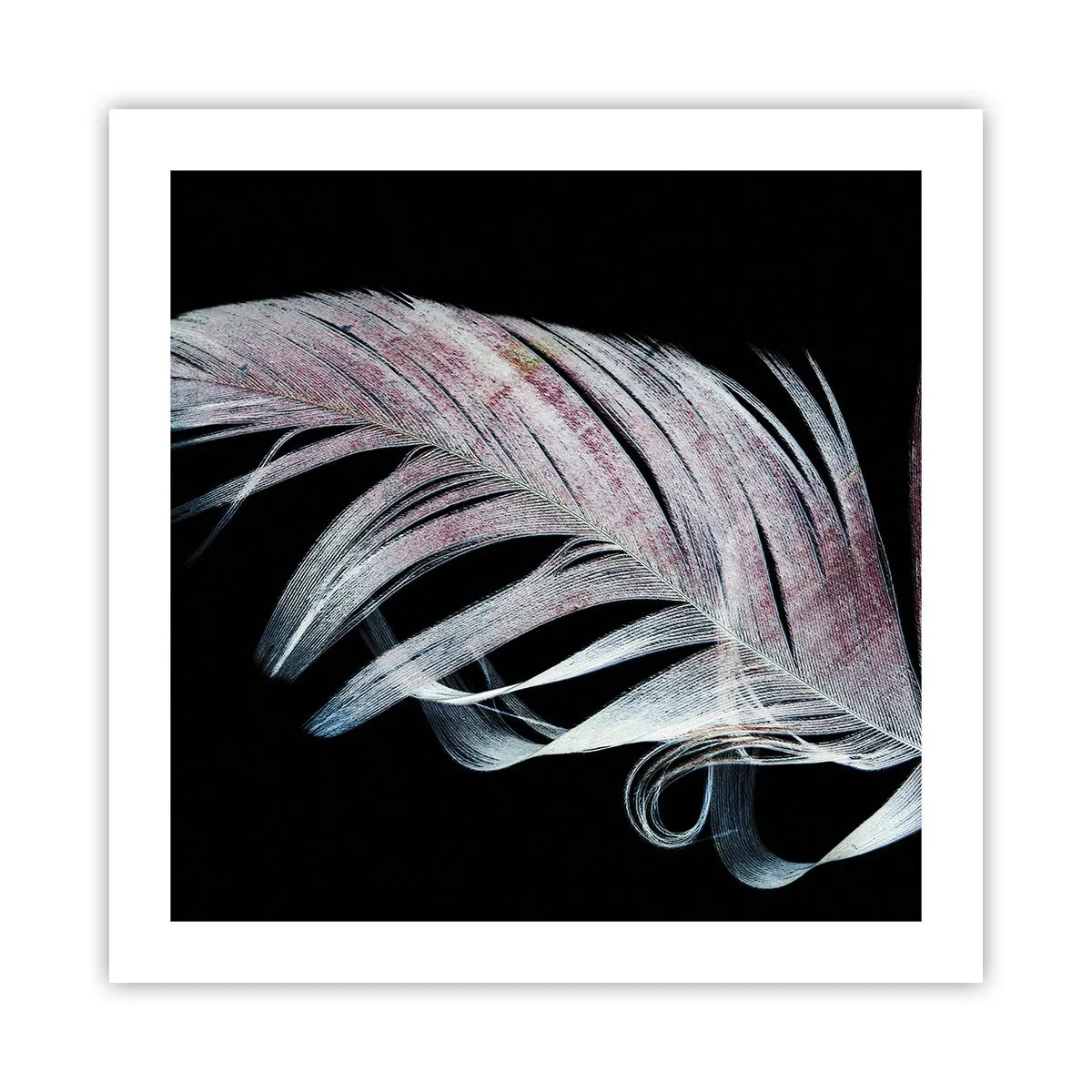 Poster - Denke an Berührung - 50x50 cm