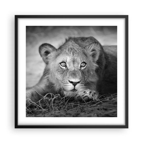 Poster in einem schwarzem Rahmen - Königlicher Welpe - 50x50 cm