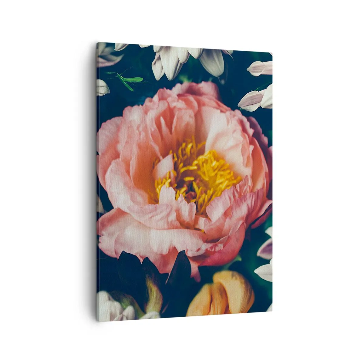 Bild auf Leinwand - Leinwandbild - Blumenarrangement mit Pfingstrosen und Chrysanthemen auf dunklem Hintergrund - 50x70cm - Mit barocker Pracht - Moderne Wanddekoration für Wohnzimmer und Schlafzimmer ARTTOR