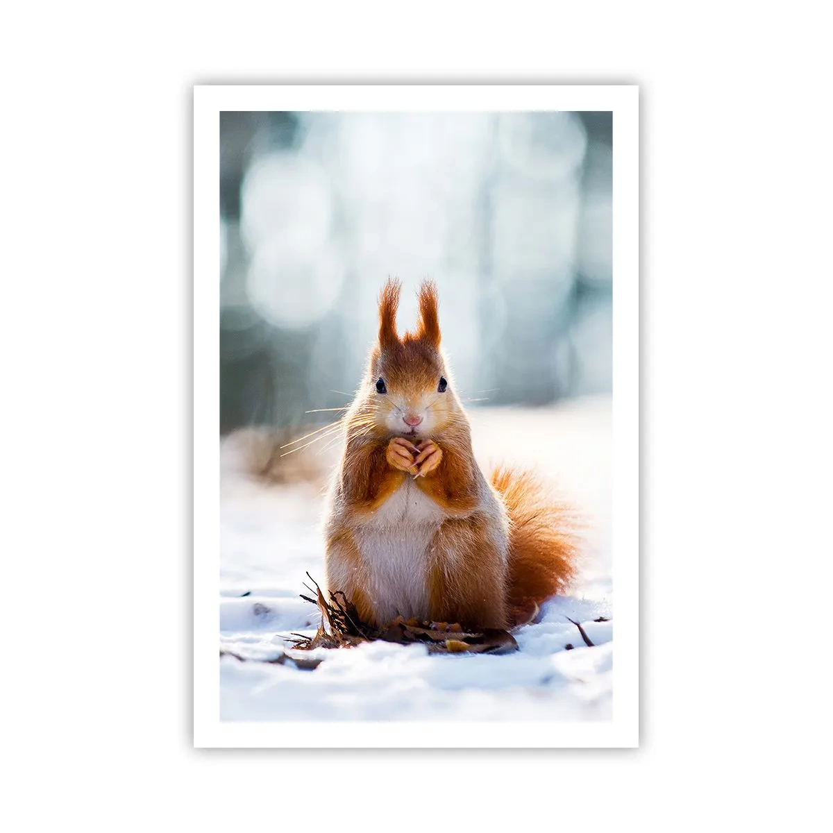 Poster - Wo schaust du hin? - 61x91 cm