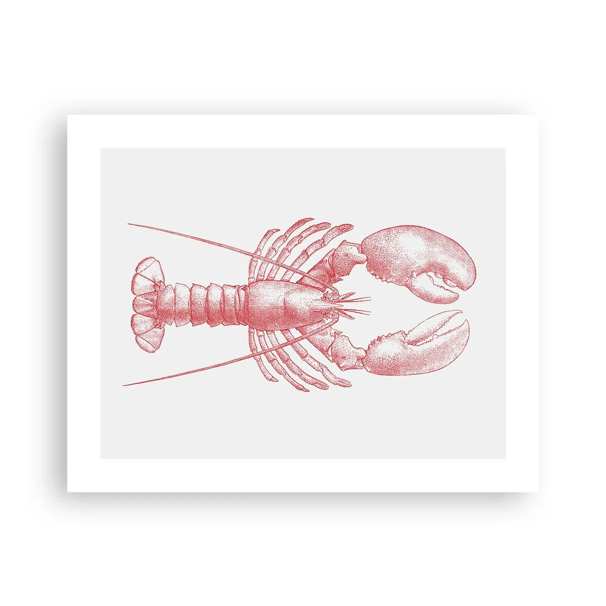 Poster - Hummer, der Homers würdig ist - 50x40 cm