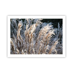 Poster - Gekleidet mit Frost - 70x50 cm