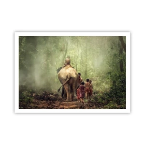 Poster - Kinder mit einem Elefanten in einem grünen Wald im Morgenlicht - 100x70cm - Neues Dschungelbuch - Moderne Wanddekoration für Wohnzimmer und Schlafzimmer ARTTOR