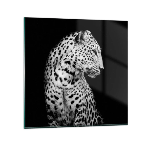 Glasbild - Bild auf glas - Rechtes Profil perfekt! - 30x30 cm