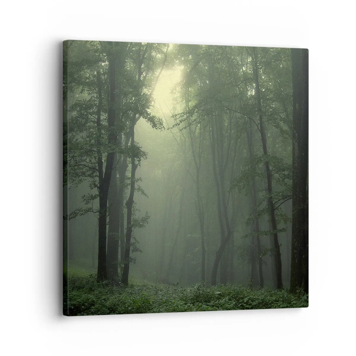 Bild auf Leinwand - Leinwandbild - Bevor er aufwacht - 30x30 cm