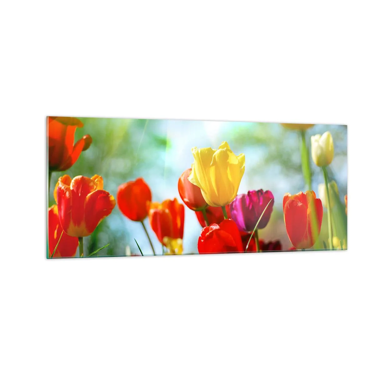 Glasbild - Bild auf glas - Alle Farben der Sonne - 100x40 cm