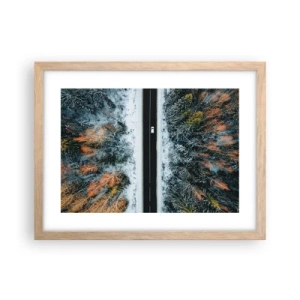 Poster in einem Rahmen aus heller Eiche - Schnitt durch den Winterwald - 40x30 cm