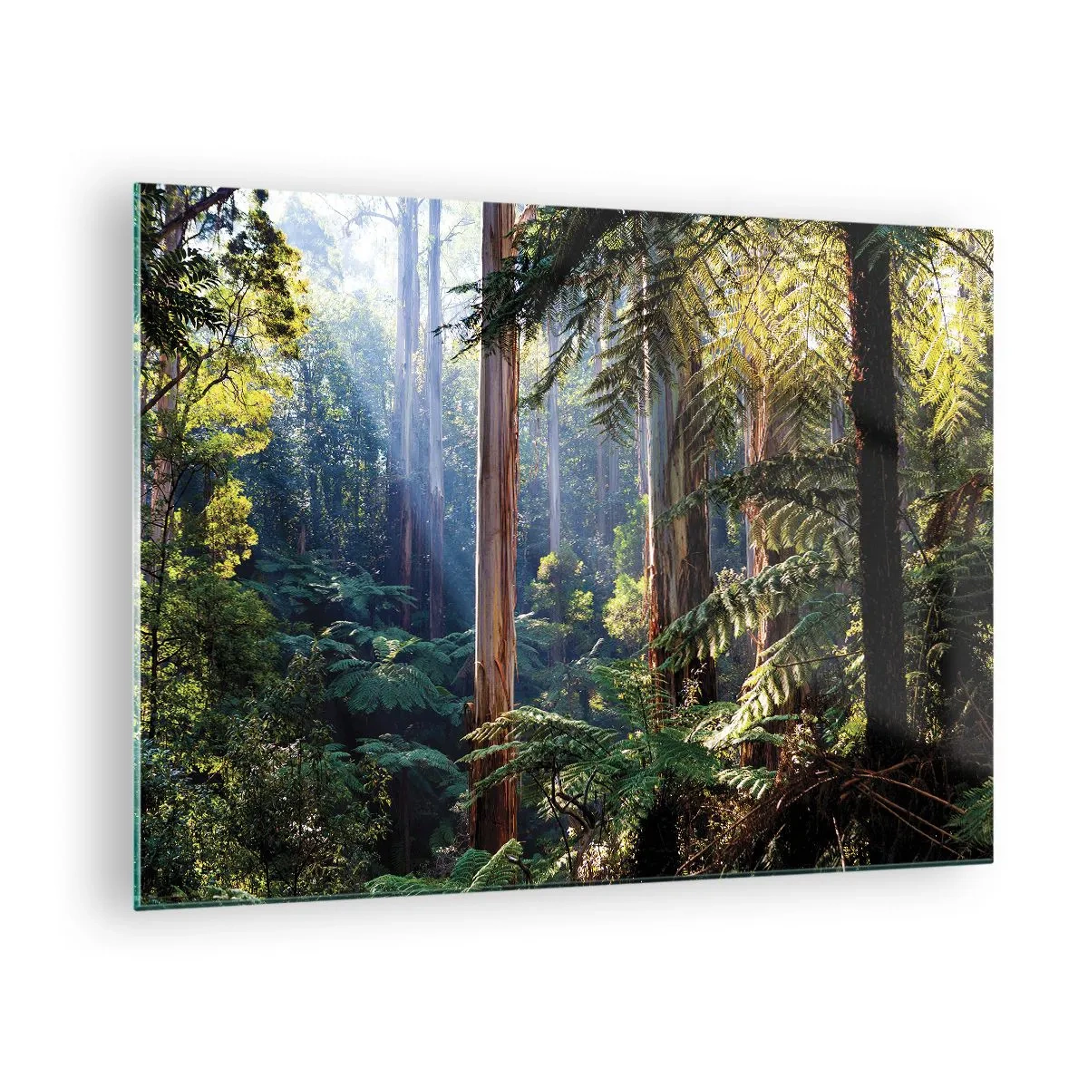 Glasbild - Bild auf glas - Grüner tropischer Wald mit Sonnenstrahlen - 70x50cm - Ein Waldmärchen - Moderne Wanddekoration für Wohnzimmer und Schlafzimmer ARTTOR