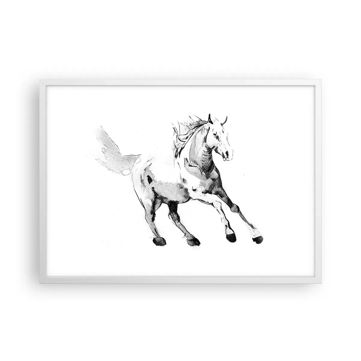 Poster in einem weißen Rahmen - Ungezähmte Seele - 70x50 cm
