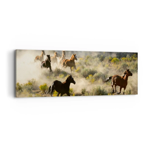 Bild auf Leinwand - Leinwandbild - Rivalität – Freiheit oder männliche Stärke? - 90x30 cm