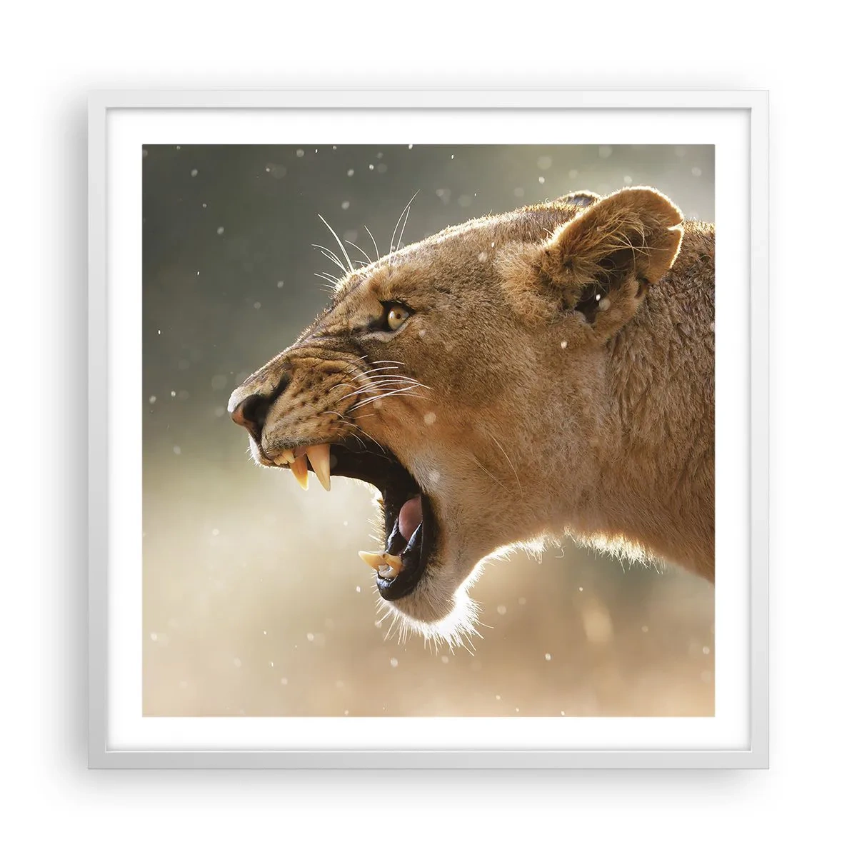 Poster in einem weißen Rahmen - Versuch, nicht zuzuhören - 60x60 cm