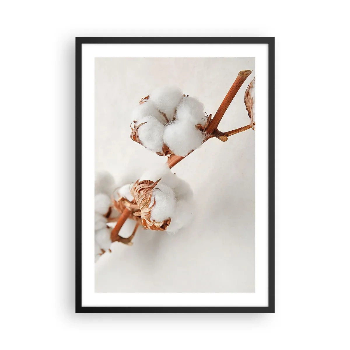 Poster in einem schwarzem Rahmen - Zarte Baumwollzweige auf hellem Untergrund - 50x70cm - Nur umarmen - Moderne Wanddekoration für Wohnzimmer und Schlafzimmer ARTTOR