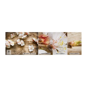 Fototapeten Muster Premium Canvas - Und es war Frühling - Blumen, Zweig mit Blumen, Natur - 100x30 cm