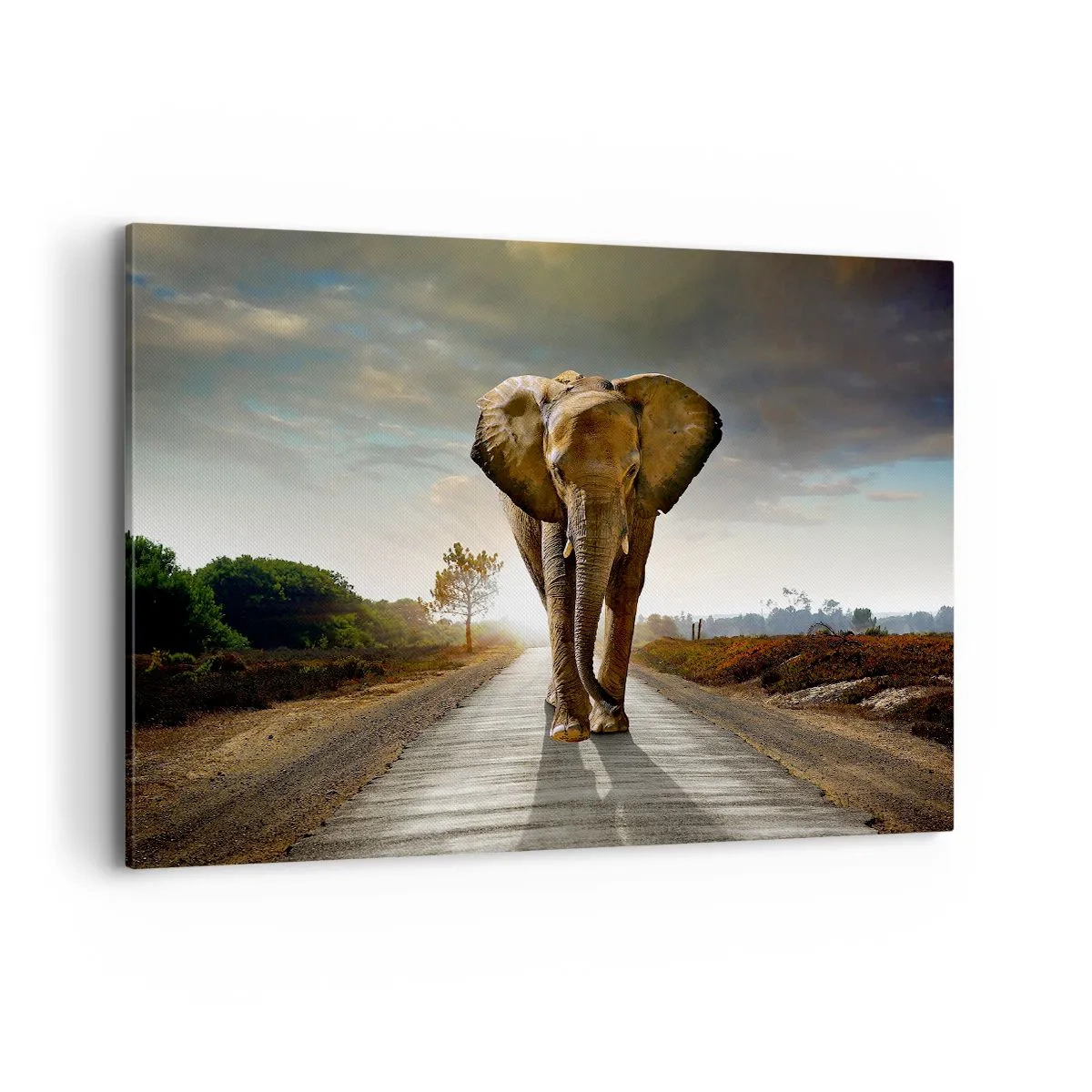 Bild auf Leinwand - Leinwandbild - Ein Elefant, der bei Sonnenuntergang auf einer Straße durch eine Landschaft läuft - 120x80cm - Und schon gar nicht in einem Porzellanlager - Moderne Wanddekoration für Wohnzimmer und Schlafzimmer ARTTOR