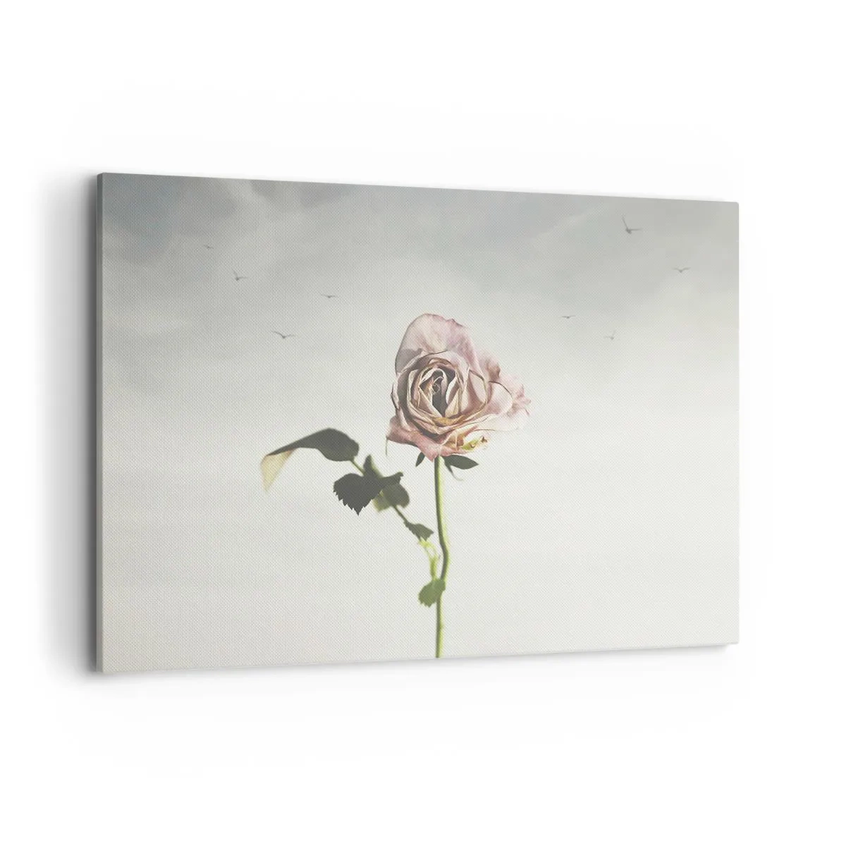 Bild auf Leinwand - Leinwandbild - Eine zarte Rose vor einem hellen Himmel mit fliegenden Vögeln - 120x80cm - Begrüßung des Frühlings - Moderne Wanddekoration für Wohnzimmer und Schlafzimmer ARTTOR