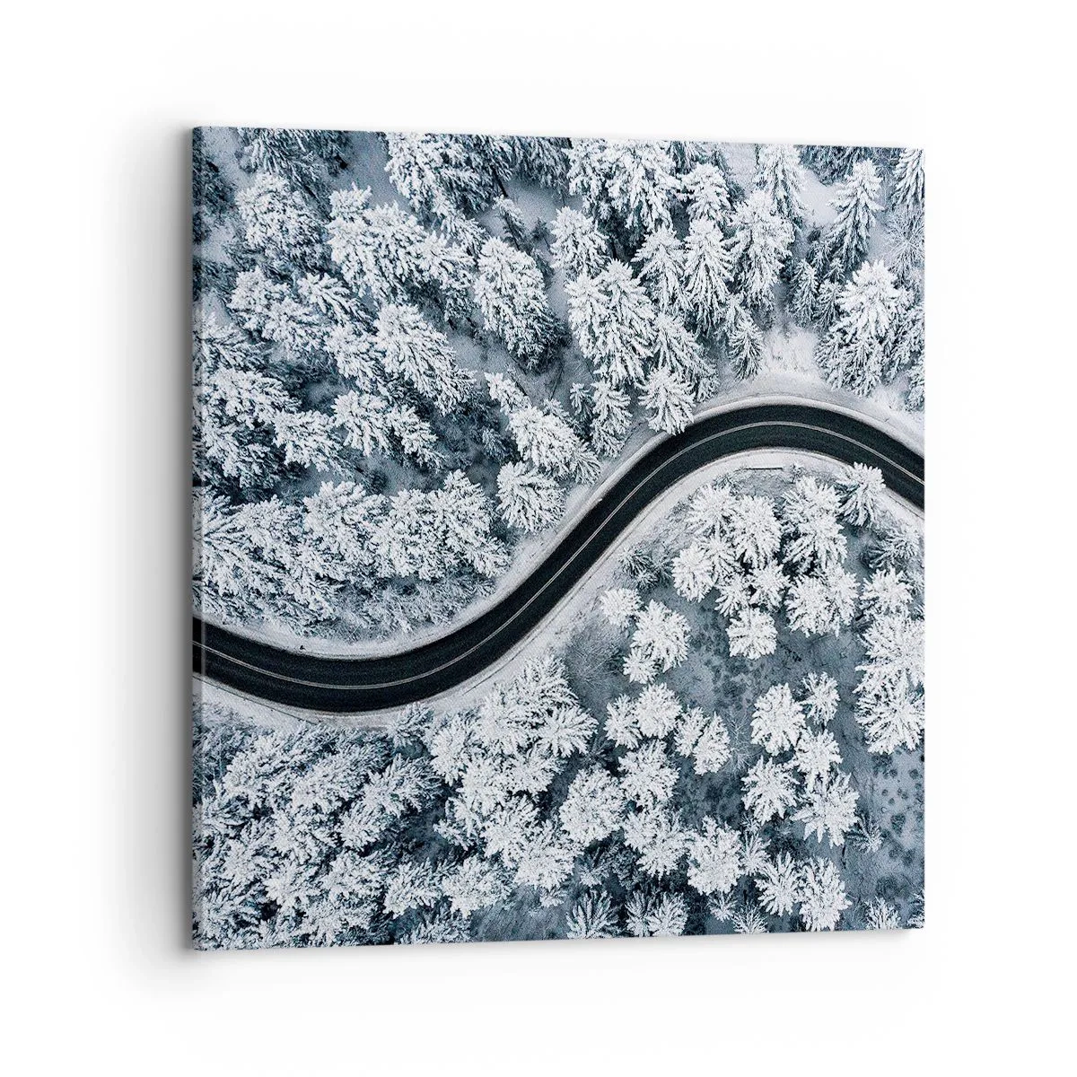 Bild auf Leinwand - Leinwandbild - Durch den Winterwald - 70x70 cm