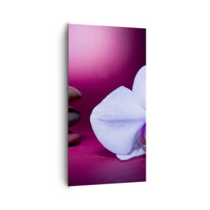 Bild auf Leinwand - Leinwandbild - Eine Studie der Frische in Lila - 65x120 cm