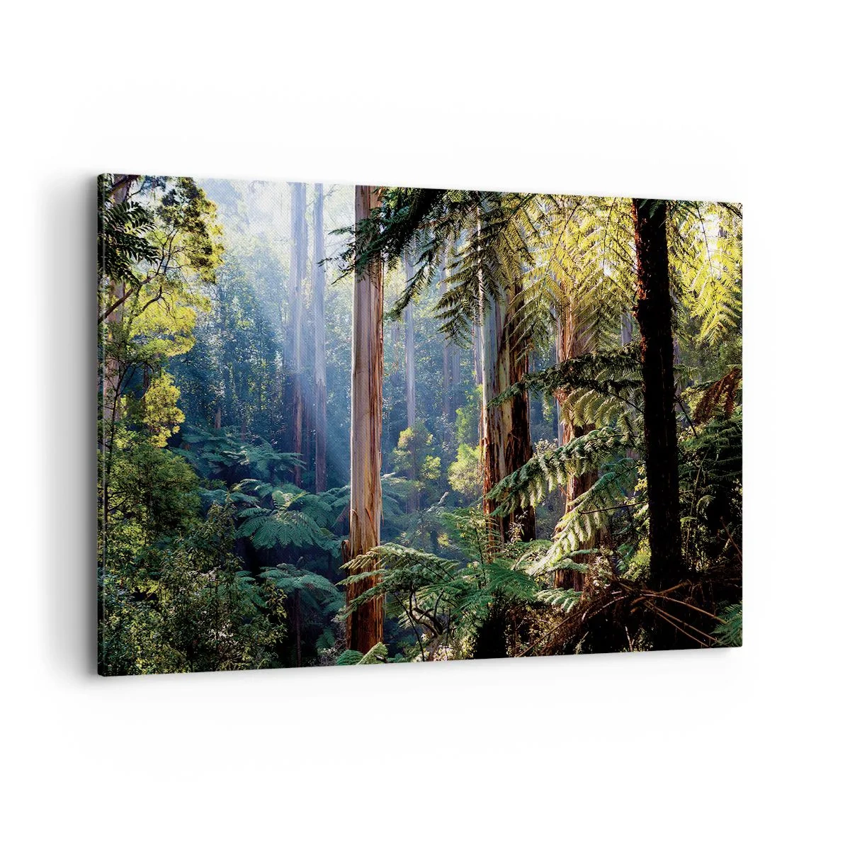 Bild auf Leinwand - Leinwandbild - Tropischer Wald, beleuchtet von den Sonnenstrahlen - 120x80cm - Ein Waldmärchen - Moderne Wanddekoration für Wohnzimmer und Schlafzimmer ARTTOR