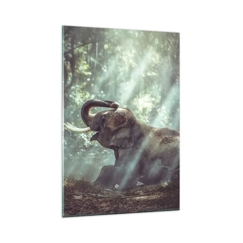Glasbild - Bild auf glas - Ein Junge und ein Elefant in einer sonnenbeschienenen Waldlandschaft - 80x120cm - Und hör dir das an... - Moderne Wanddekoration für Wohnzimmer und Schlafzimmer ARTTOR