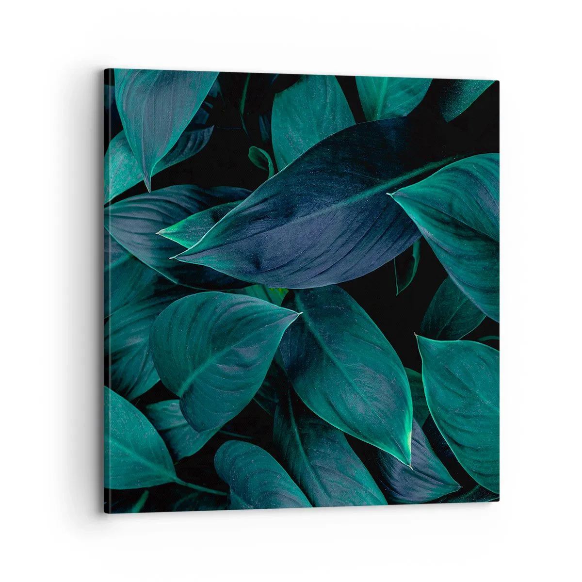 Bild auf Leinwand - Leinwandbild - Grün in sich selbst - 70x70 cm