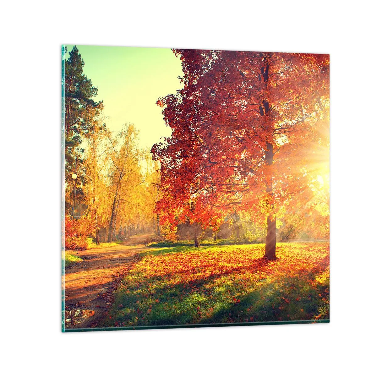 Glasbild - Bild auf glas - Unhöflich ist schön - 70x70 cm