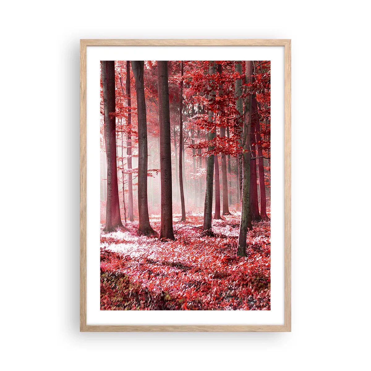 Poster in einem Rahmen aus heller Eiche - Rot ist genauso schön - 50x70 cm